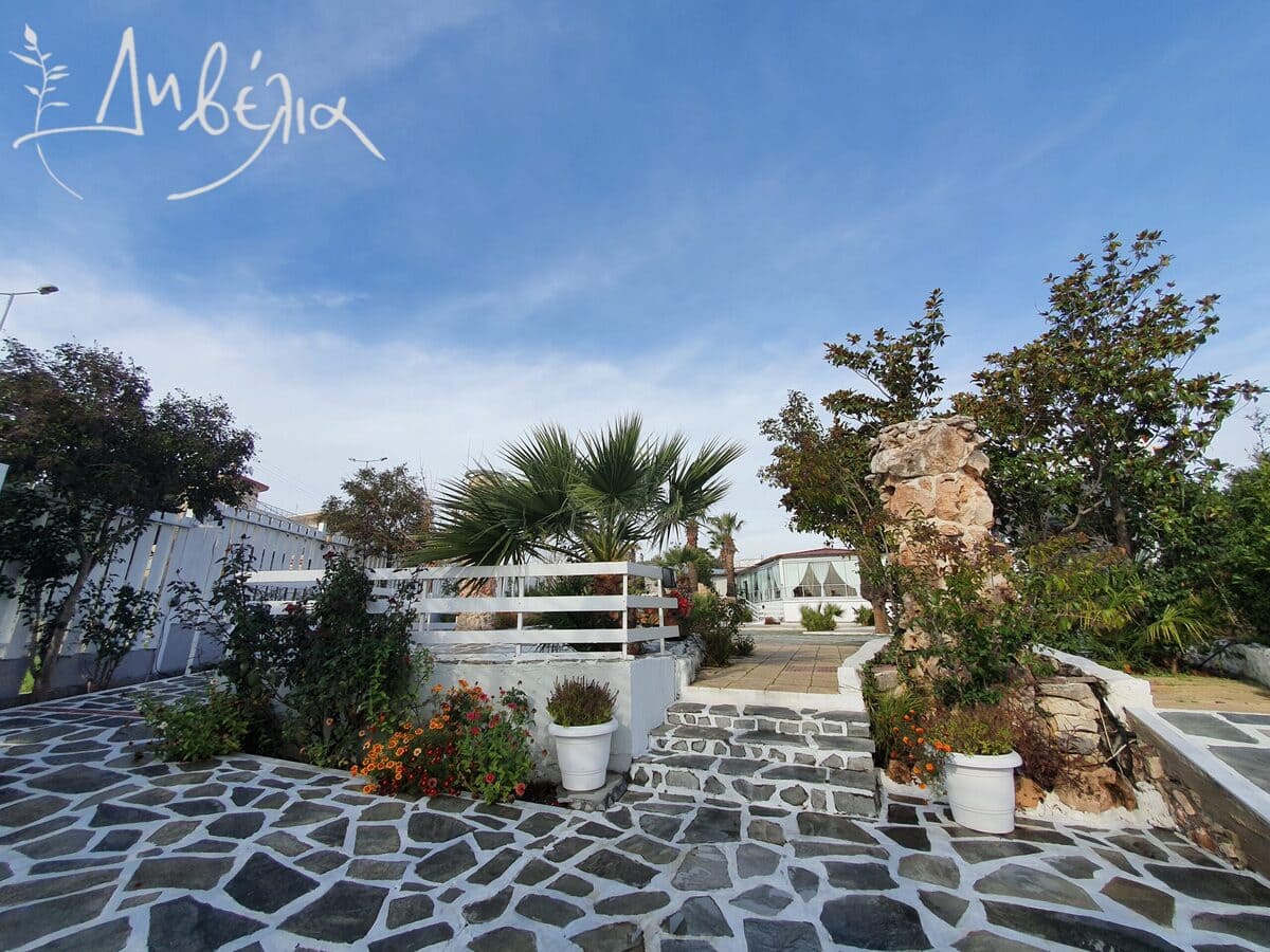 Divelia  portfolio